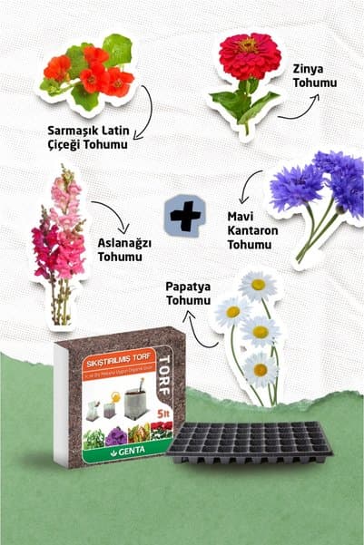 Genta Hobitar Çiçek Yetiştirme Seti Viyol Cocopeat - Sarmaşık Latin Çiçeği Mavi Kantaron Kirli Hanım Zinnia Aslanağzı Papatya Tohumu Viyol Cocopeat Sıkıştırılmış Torf