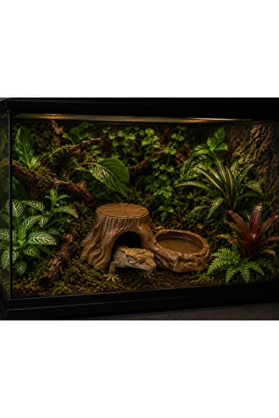 ecraft3D Ağaç Görünümlü Sürüngen Mağara ve Su Kabı Seti