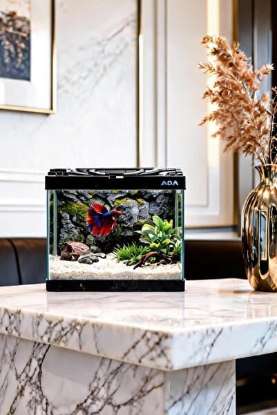 ADA AKVARYUM Betta Balığı Akvaryumu Siyah 23x12x21 Cm 4 Litre Arka Plan Hediyeli