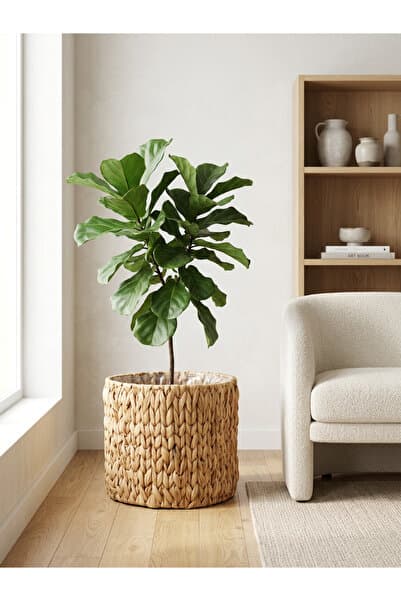 ELZEY HOME Hasır Içi Poşetli Dekoratif Saksılık & Sepet L 26x20cm Naturel