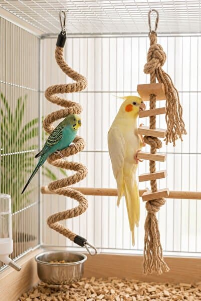Mivra Pets 2'li Doğal Ahşap Kuş Oyuncak Seti - 90cm Esnek Tünek ve Jüt İp Kemirme Bloğu