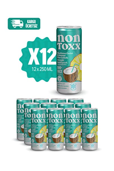 NON TOXX Nontoxx Hindistan Cevizi & Ananas Aromalı Gazlı İçecek 250 ML