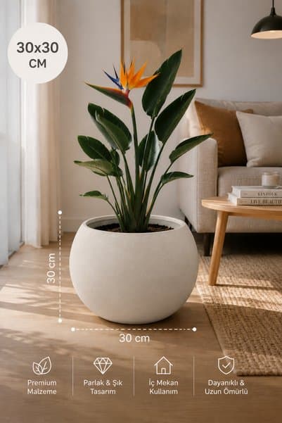 CANBOTANİK Premium Küre Saksı 30 cm Beyaz Dayanıklı Plastik Modern Saksı- İç Hazneli