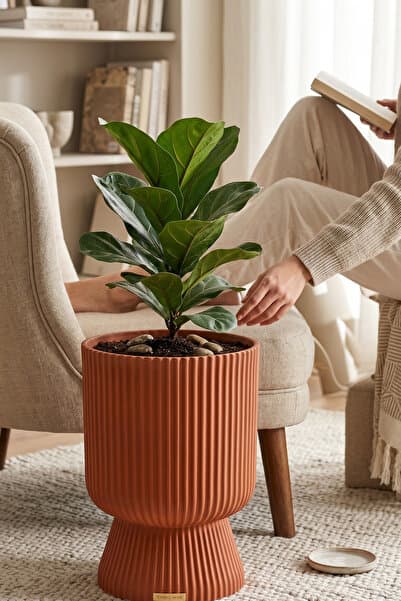 TEMMUZ HOME 1 Adet 10.5 Litre Büyük Boy Çizgili Ayaklı Saksı - Lotus 3 No (Deliksiz Bir Saksıdır)