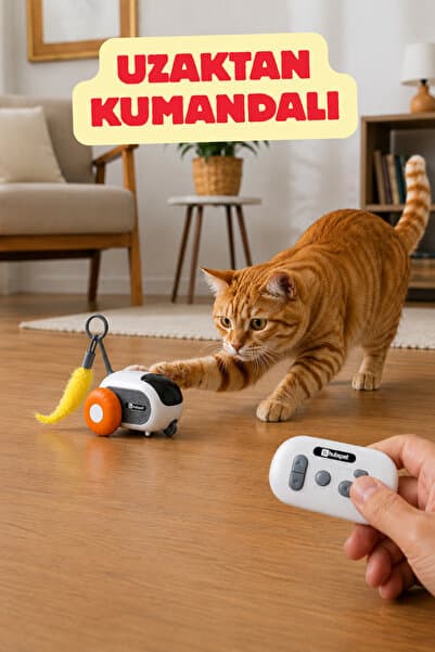 Hubspet Hareketli Kedi Oyuncak Arabası | Uzaktan Kumandalı, Şarjlı, Sensörlü, Akıllı Oyuncak, 2 Başlıklı (H210)