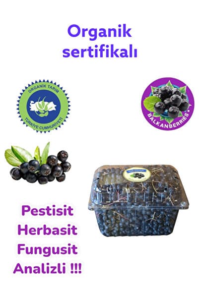 Genel Markalar Taze Aronya Meyvesi Organik Sertifikalı Aronia 1000 Gr.