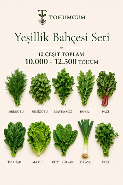 TOHUMCUM 10 Çeşit Yeşillik Tohumu Seti 10.000-12.500 Tohum | Dereotu, Semizotu, Maydanoz, Roka, Pazı, Ispanak, Marul, Kuzu Kulağı, Pırasa, Tere