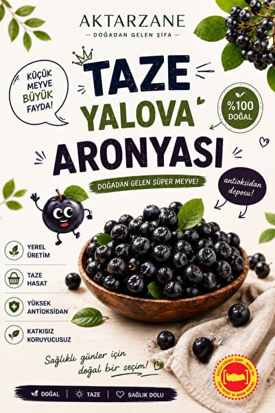 Aktarzane Taze Aronya Meyvesi Aronia Coğrafi İşaretli Yalova Üretim Süper Meyve Aronya 1kg