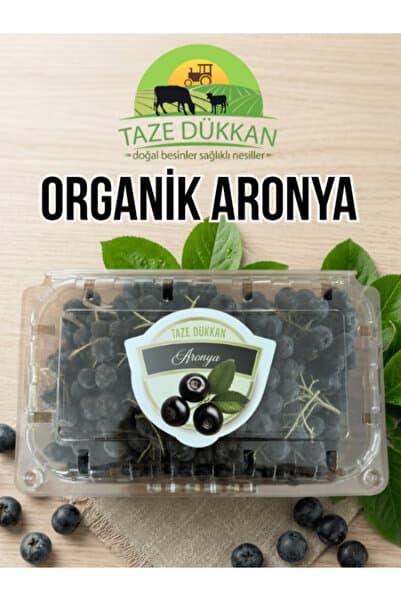 Taze Dükkan Aronya Yerli Yalova Sertifikalı