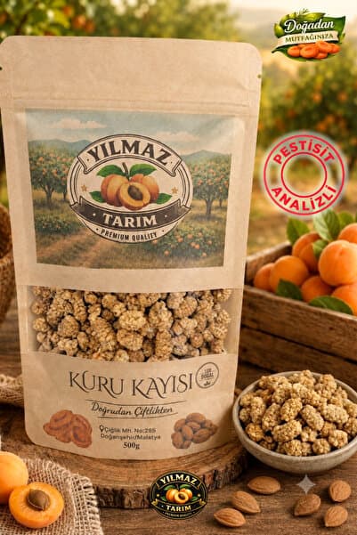 YILMAZ TARIM ORGANİK Beyaz Dut Kurusu - Doğal Katkısız 250 Gr - (Pestisit Analizli)
