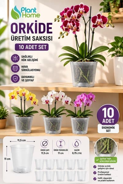 Plant Home Power Mix 10 Adet Orkide Üretim Saksısı - Plastik Şefaf Orkide Üretimine Uygun Saksı