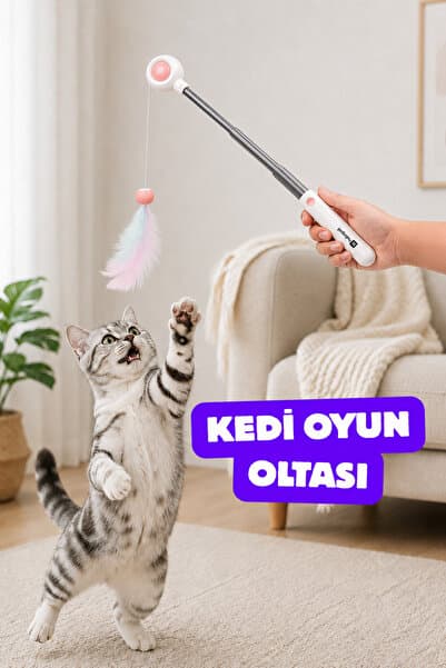 Hubspet Kedi Oyun Oltası | Teleskopik Uzayan Çubuk, İpli 2 Farklı Yedek Başlık Oyuncak (Pembe-H150)