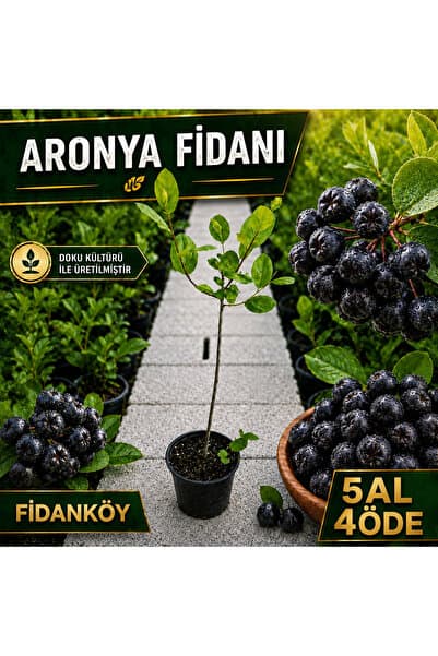 FİDANKÖY Aronya poşetli / saksılı bahce kurulumuna uygun doku kültürü uretimi