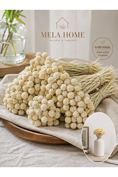 MELA Doğal Craspedia Kurutulmuş Bohem Deko