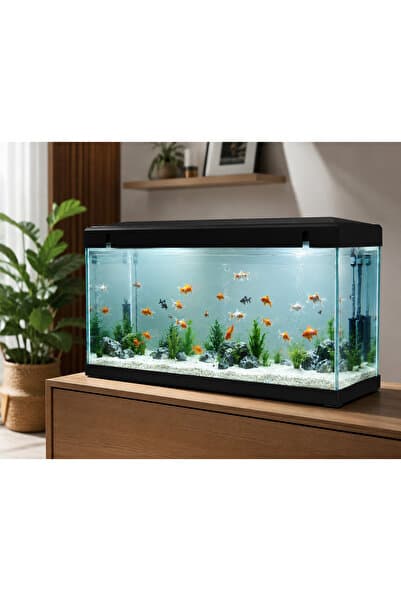 PKR Akvaryum 65 cm siyah 4 mm cam
