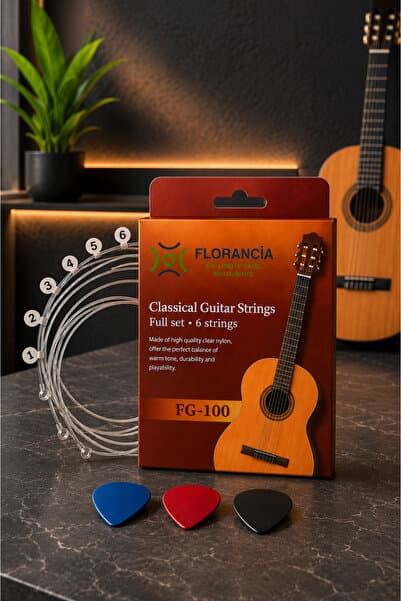 Florancia FG-100 Klasik Gitar Tel Seti Normal Tension