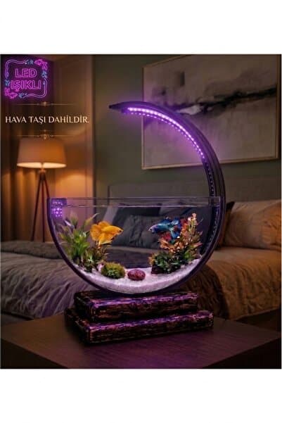 Heryerden Aquarium Ahşap Tabanlı Hilal Akvaryum LED Işıklı Özel Tasarım Beta Fanus Hava Taşlı Kum Hediyeli Gümüş Renk