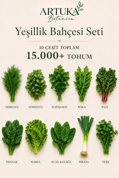 Artuka Botanica Yeşillik Bahçesi Tohum Seti 10 Çeşit 15.000+ Tohum | Maydanoz, Roka, Tere, Ispanak, Marul, Dereotu, Pazı, Semizotu, Kuzu Kulağı, Pırasa