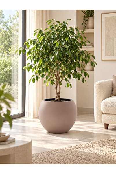 Morfi Küre Saksı Yuvarlak Saksı Salon Saksı 30 Cm Mocha Saksı Plastik Saksı Çiçek Saksısı