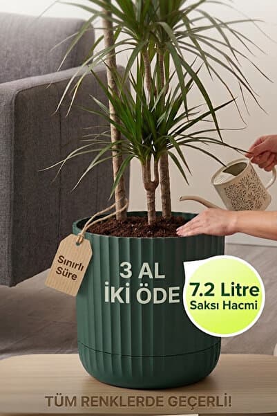 TEMMUZ HOME Zeraf SaksıNo:4–1 Adet 7.2 Litre Tabaklı Masa ve SehpaÜzeri Saksı (Ev Ofis ve Dış Mekan İçin Uygun)