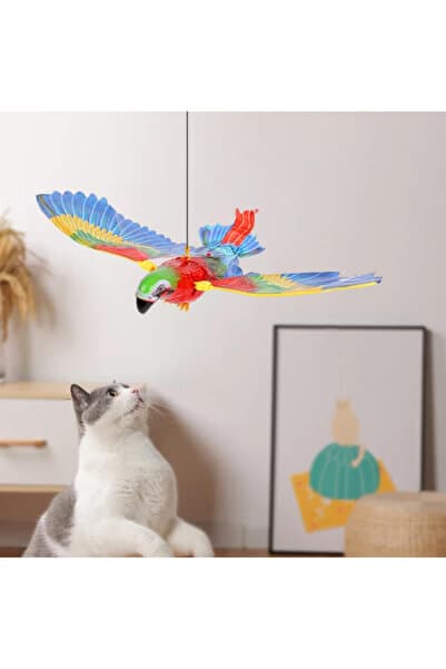 Genel Markalar Uçan Papağan Kedi Oyuncağı Sesli Işıklı Eğlenceli Etkileşimli Oyuncak