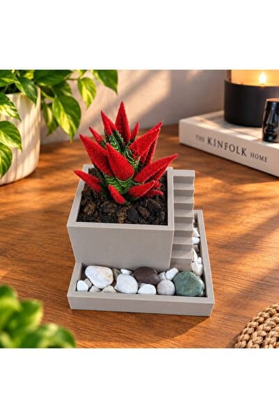 Katman Kraft Kahverengi Merdivenli Dekoratif Saksı – Modern Sukulent Saksısı