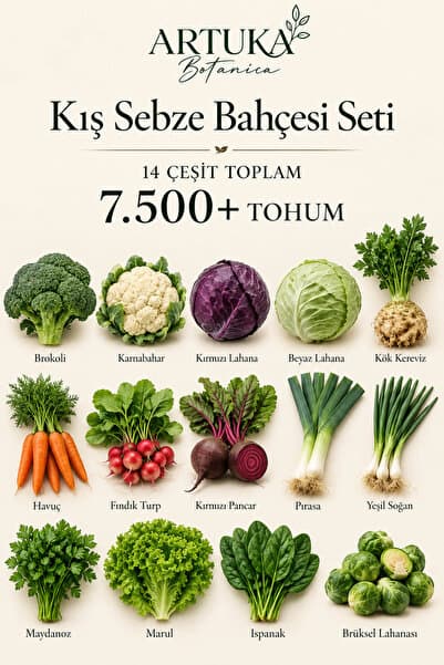 Artuka Botanica Kış Sebze Bahçesi Tohum Seti 14 Çeşit 7.500+ Tohum | Brokoli, Karnabahar, Kırmızı & Beyaz Lahana, Kereviz, Havuç, Fındık Turp, Pancar, Pırasa, Yeşil Soğan, Maydanoz, Marul, Ispanak, Brüksel Lahanası