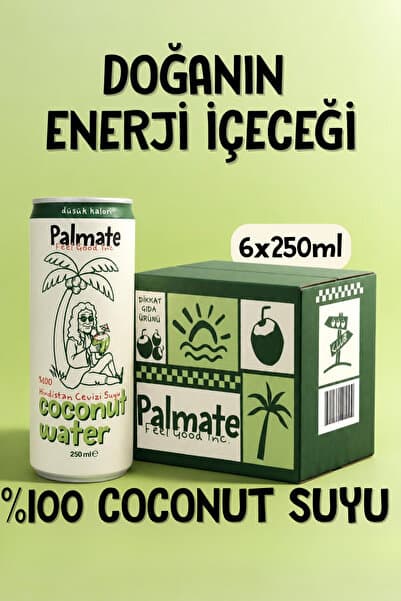 PALMATE %100 Coconut Suyu Hindistan Cevizi Suyu 6x250 ML