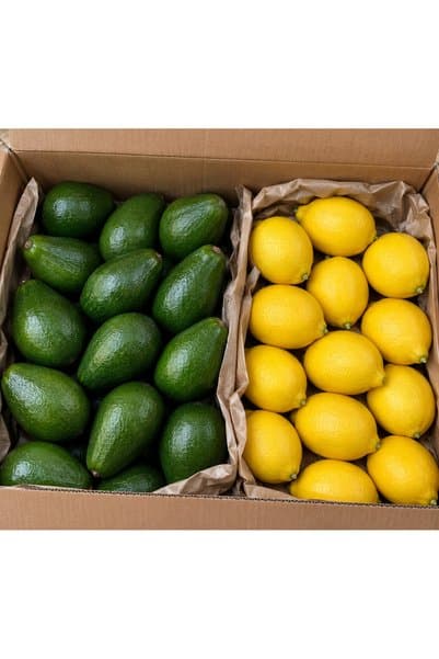 Mirayın bahçesinden 2 Kg Taze hasat avokado 2 Kg bol sulu Limon