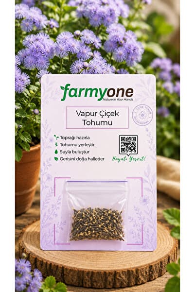 farmyone Vapur Çiçeği Çiçek Tohumu - 100 Adet