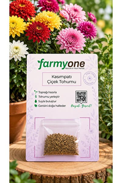 farmyone Kasımpatı Çiçek Tohumu – 50 Adet