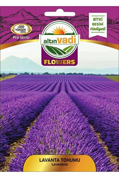 ALTINVADİ Lavanta Tohumu