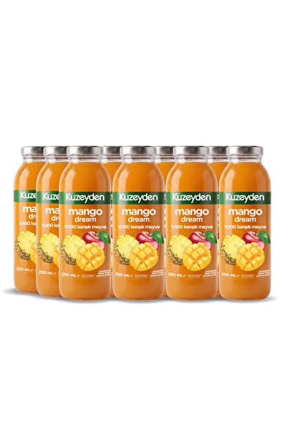 KUZEYDEN %100 Karışık Meyve Mango Suyu | 12x250ml | İlave şeker, katkı ve koruyucu madde içermez | 12 Adet |