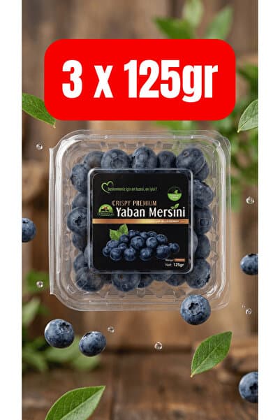 Taze Dükkan Crispy Yaban Mersini 3 x 125gr