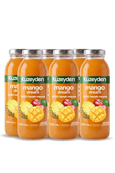 KUZEYDEN %100 Karışık Meyve Mango Suyu | 6x250ml | İlave şeker, katkı ve koruyucu madde içermez | 6 Adet |