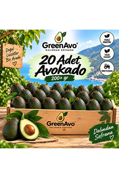 GreenAvo 20 Adet Avokado 200+gr