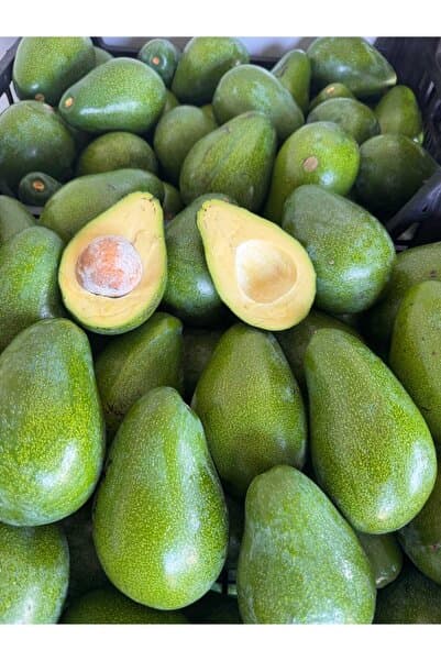 Genel Markalar Avokado 2 Kg İrili ufaklı