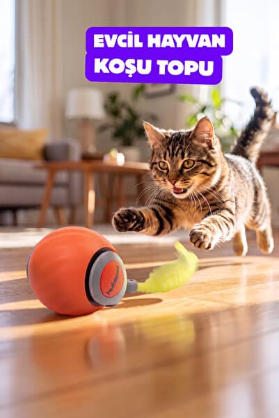 Hubspet Otomatik Yuvarlanan Top Kedi Oyuncağı Turuncu H120