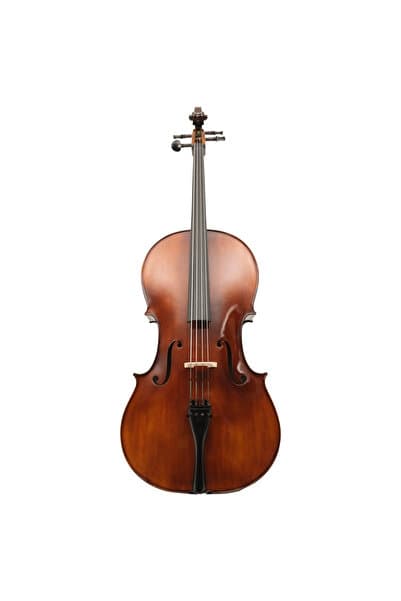 Wallace Hartley A- Series 3/4 Çello