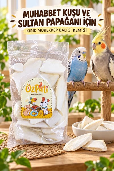 Özpati 50 Gram Kırık Kalamar Kemiği Mürekkep Balığı Kemiği Tüm Kafes Kuşları İçin