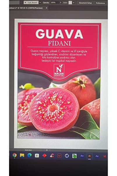 Genel Markalar Guava fidanı