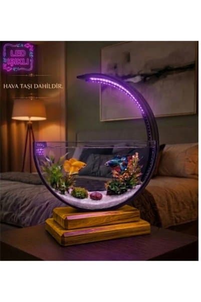Heryerden Aquarium Ahşap Tabanlı Hilal Akvaryum LED Işıklı Özel Tasarım Beta Fanus Hava Taşlı Kum Hediyeli Gümüş Renk