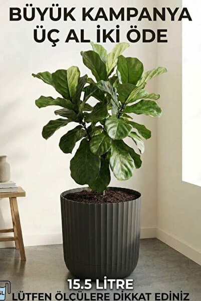 TEMMUZ HOME 15.5 Lt. 1 Adet Tabaklı Büyük Boy Plastik Çiçeklik - Salon & Ofis Dekoratif Saksı