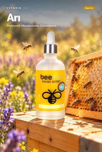VETORİN Arı İçin Probiyotik Damla 100 ml | Arı Şurubuna ve Keke Katılır, Koloni Bakımı - Bee Pro+