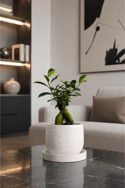 VASODEK Dekoratif Beton Saksı V-127-AÇİK KREM