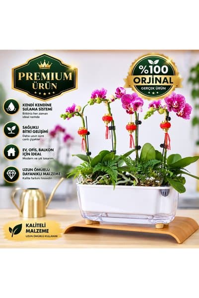 Saksıdan Sofraya Akıllı Saksı Kendini Sulayan Modern (Küçük Boy)