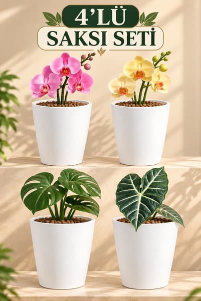 Plant Home Power Mix 4 Adet Dekoratif Beyaz Orkide Saksısı Seti Fiyatlı 12 Pot Üretim Saksısına Uygun Kaliteli Ürün