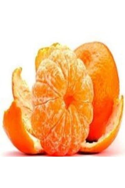 Doğan Fidancılık Aşılı Çekirdeksiz Dobashi Beni Mandalina Yaş 1-2 Boy 90-110cm Soğuklara Dayanıklı
