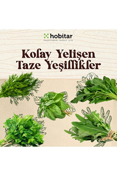 Genta Hobitar Kolay Yetişen Taze Yeşillikler Sebze Tohumu Paketi - 5 Çeşit Aromatik Tohumu