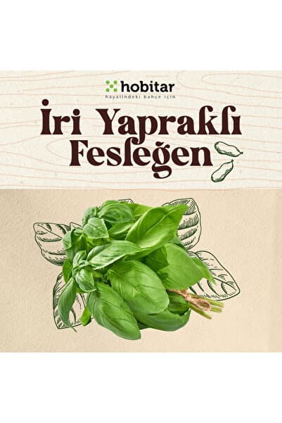 Genta Hobitar İri Yapraklı Fesleğen Tohumu